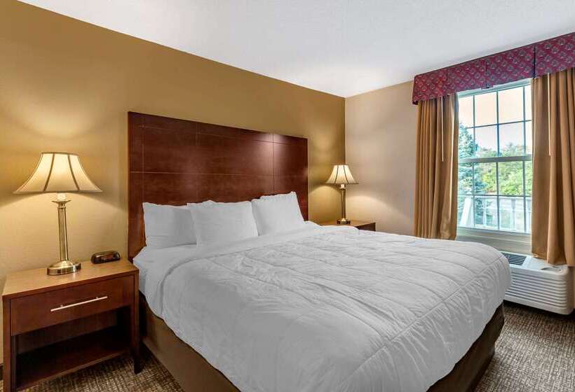 فندق Comfort Inn Foxboro – Mansfield