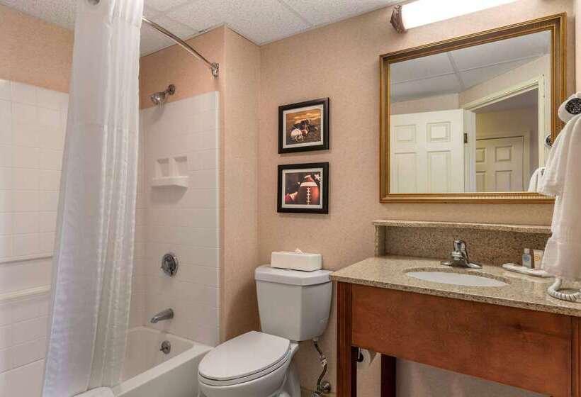 فندق Comfort Inn Foxboro – Mansfield