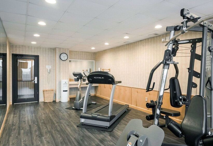 호텔 Comfort Inn Gold Coast