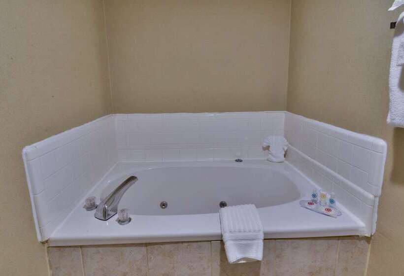 호텔 Comfort Inn Gold Coast