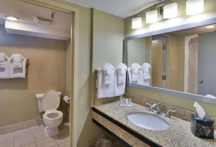 호텔 Comfort Inn Gold Coast