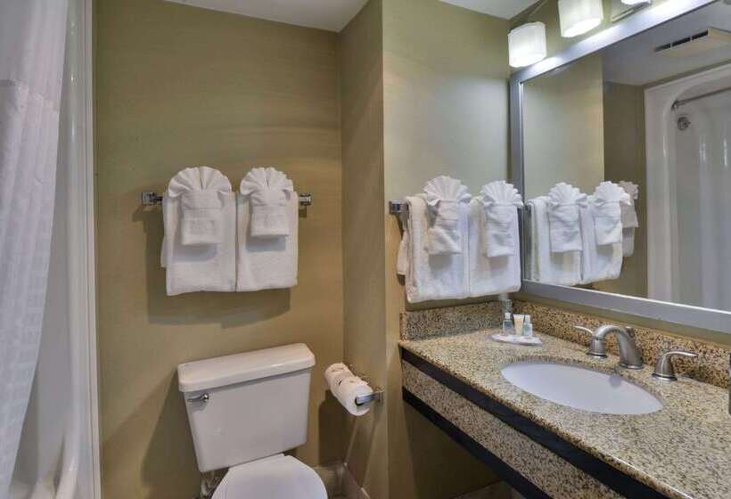 호텔 Comfort Inn Gold Coast