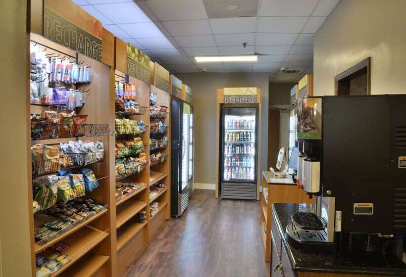 호텔 Comfort Inn Gold Coast