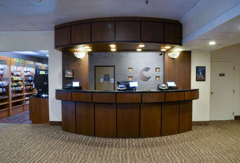 호텔 Comfort Inn Gold Coast