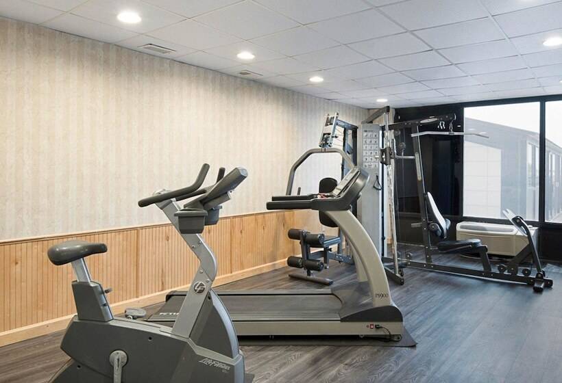 호텔 Comfort Inn Gold Coast