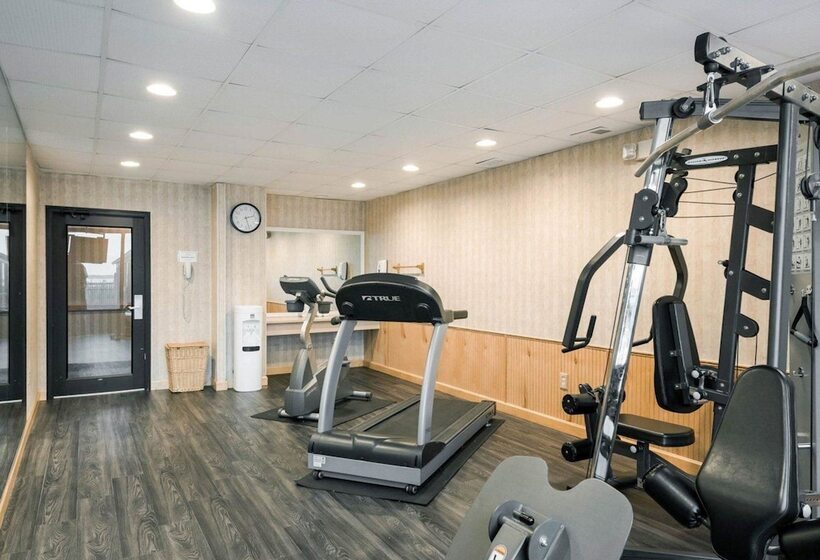 호텔 Comfort Inn Gold Coast