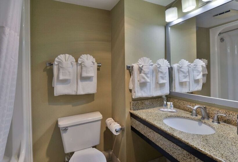 호텔 Comfort Inn Gold Coast