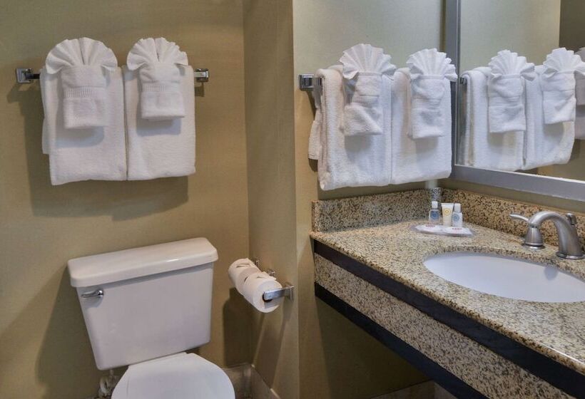 호텔 Comfort Inn Gold Coast