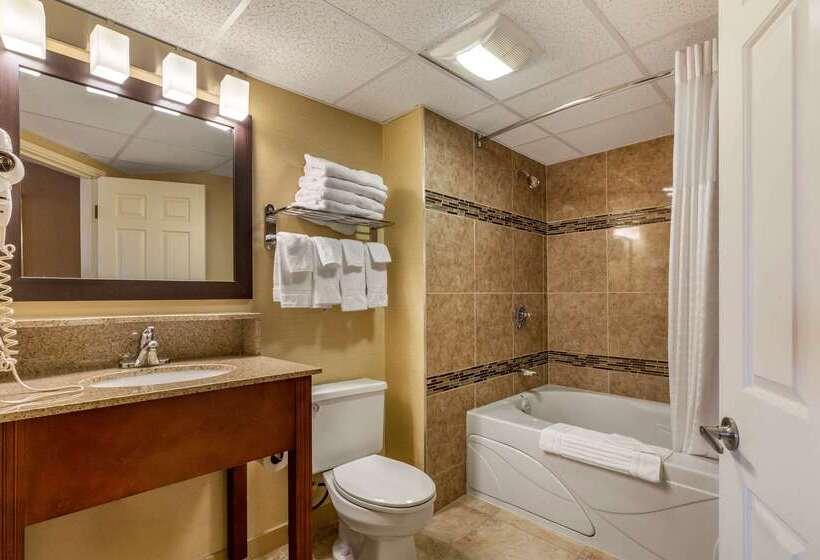 فندق Comfort Inn Rockland  Boston