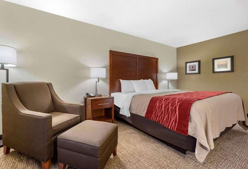 فندق Comfort Inn Splash Harbor