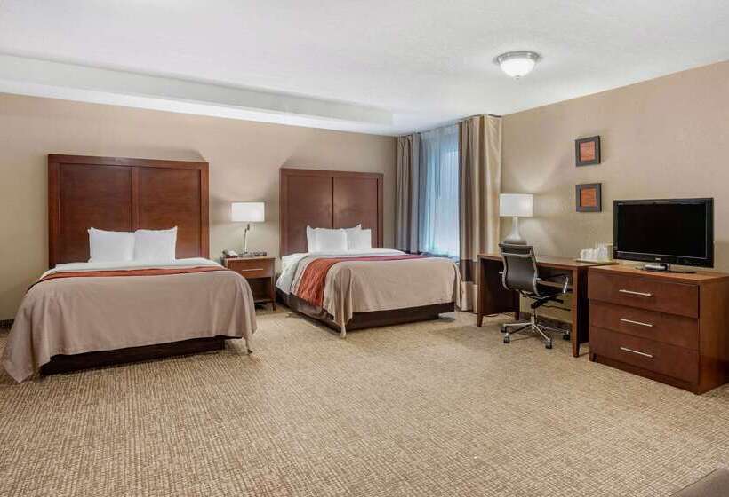 فندق Comfort Inn Splash Harbor