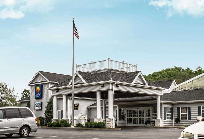 فندق Comfort Inn Splash Harbor