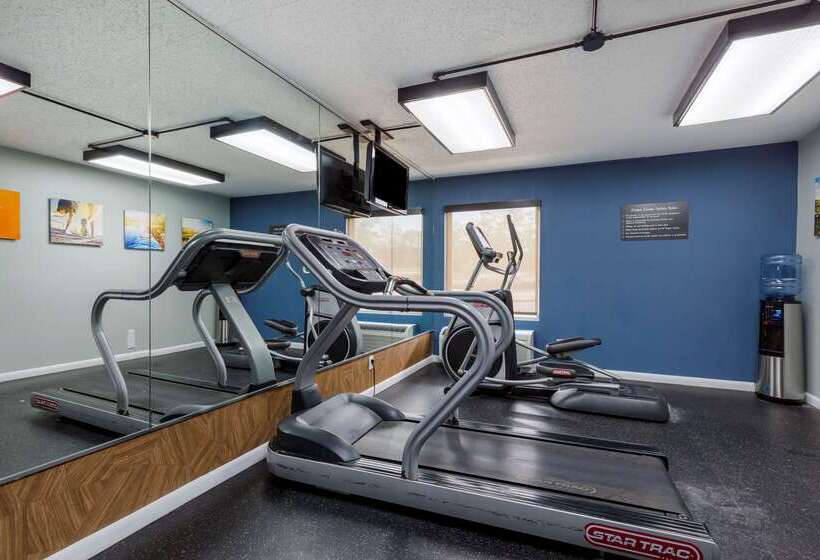 Отель Comfort Inn & Suites Alexandria West