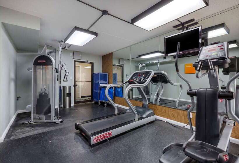 Отель Comfort Inn & Suites Alexandria West