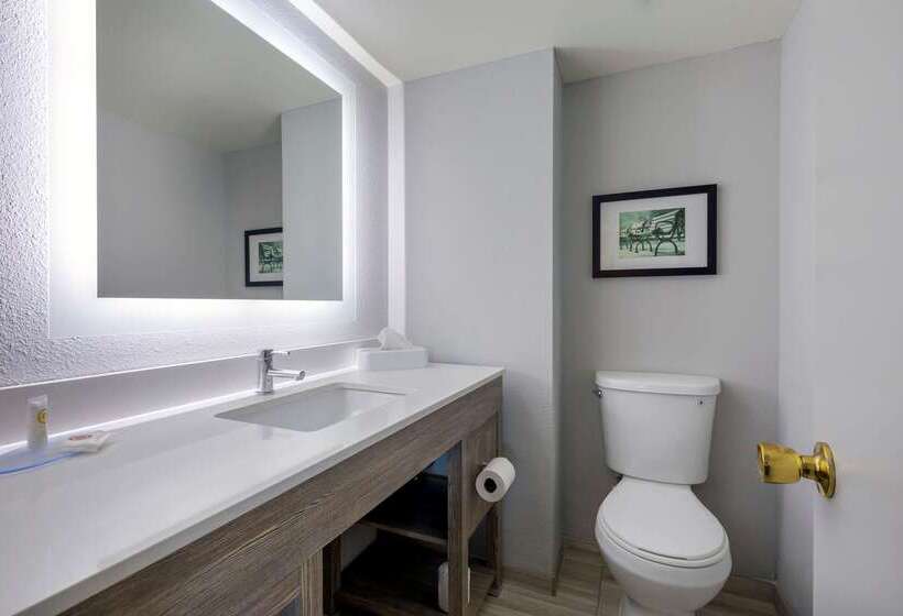 هتل Comfort Inn & Suites Alexandria West