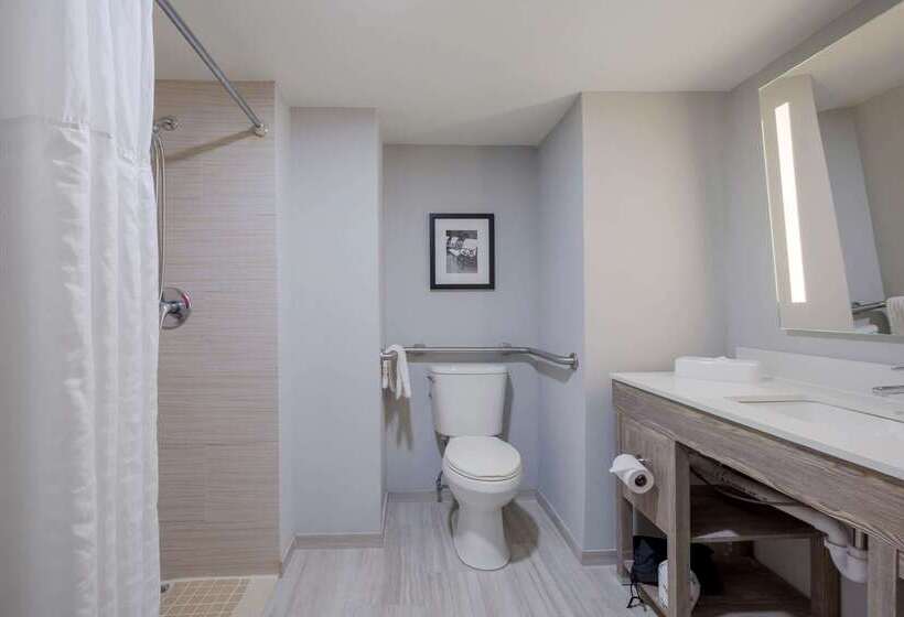 Отель Comfort Inn & Suites Alexandria West