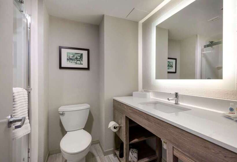 هتل Comfort Inn & Suites Alexandria West