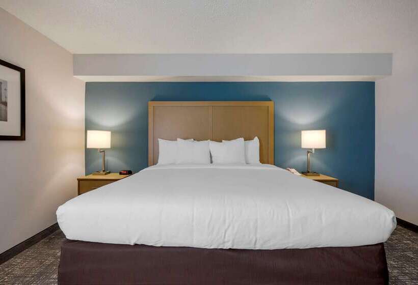 Отель Comfort Inn & Suites Alexandria West