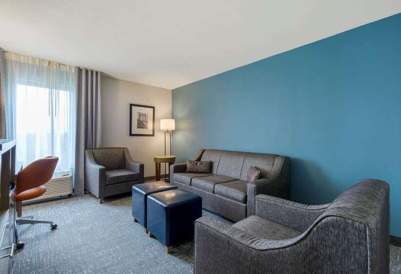 Отель Comfort Inn & Suites Alexandria West