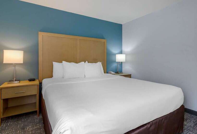 هتل Comfort Inn & Suites Alexandria West