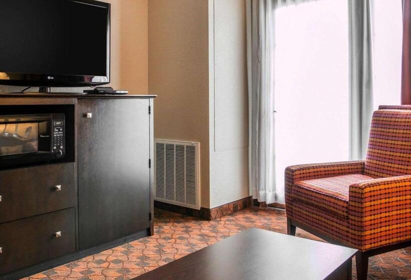 호텔 Comfort Inn & Suites And Conference Center