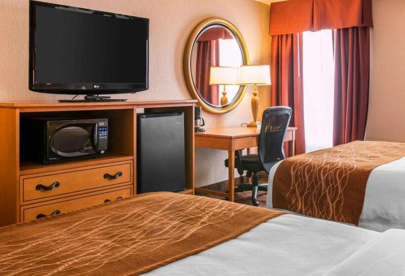 酒店 Comfort Inn & Suites And Conference Center