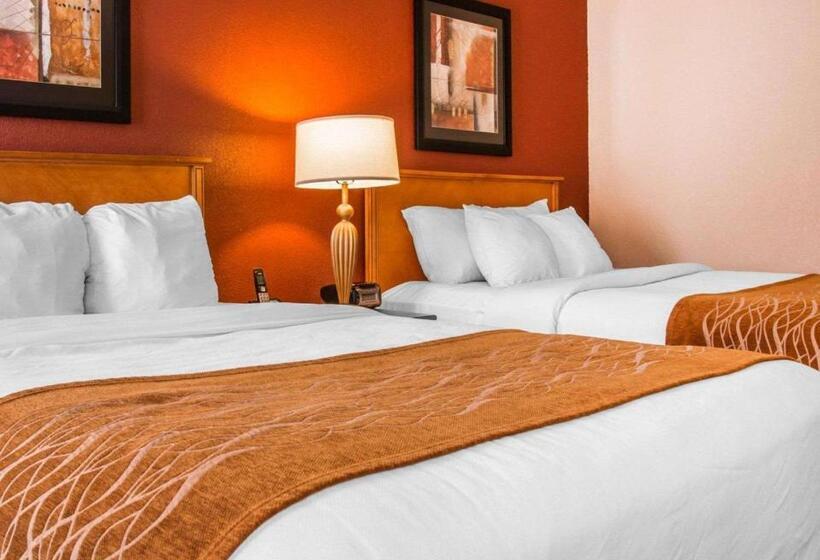 酒店 Comfort Inn & Suites And Conference Center