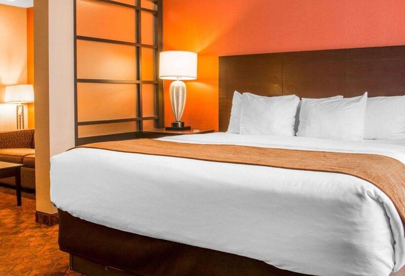 호텔 Comfort Inn & Suites And Conference Center