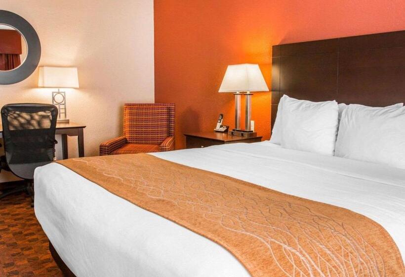 호텔 Comfort Inn & Suites And Conference Center