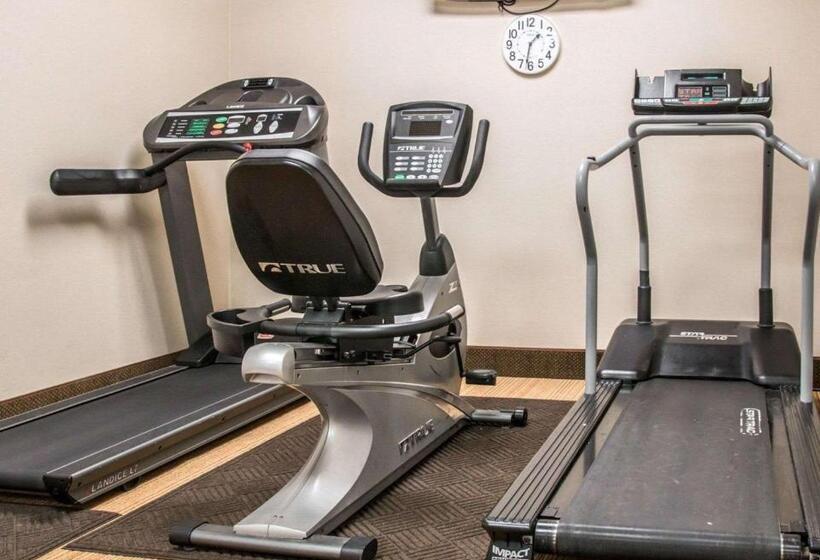 호텔 Comfort Inn & Suites And Conference Center