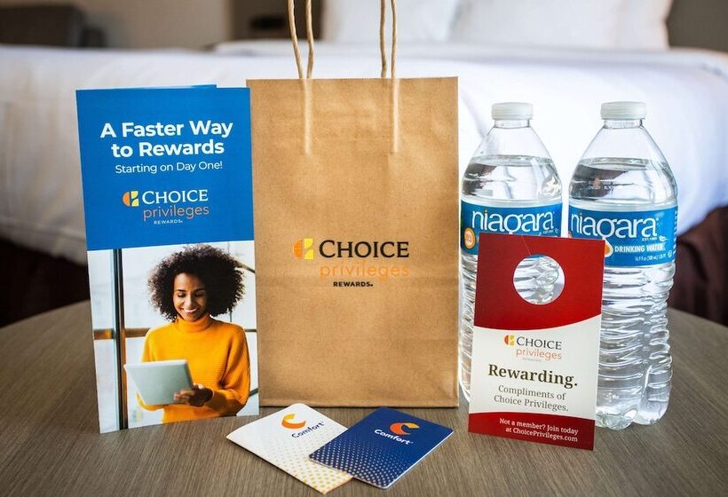 فندق Comfort Inn & Suites Buffalo Airport