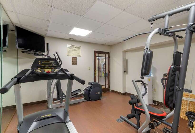 هتل Comfort Inn & Suites  Near Robins Air Force Base Main Gate