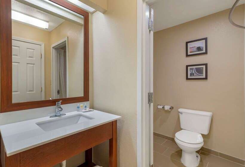 Отель Comfort Inn & Suites Near Robins Air Force Base Main Gate