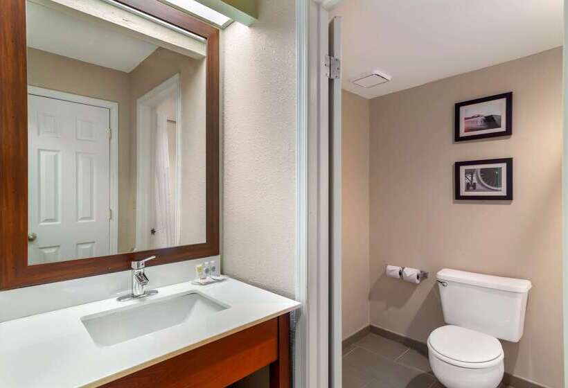 Отель Comfort Inn & Suites Near Robins Air Force Base Main Gate