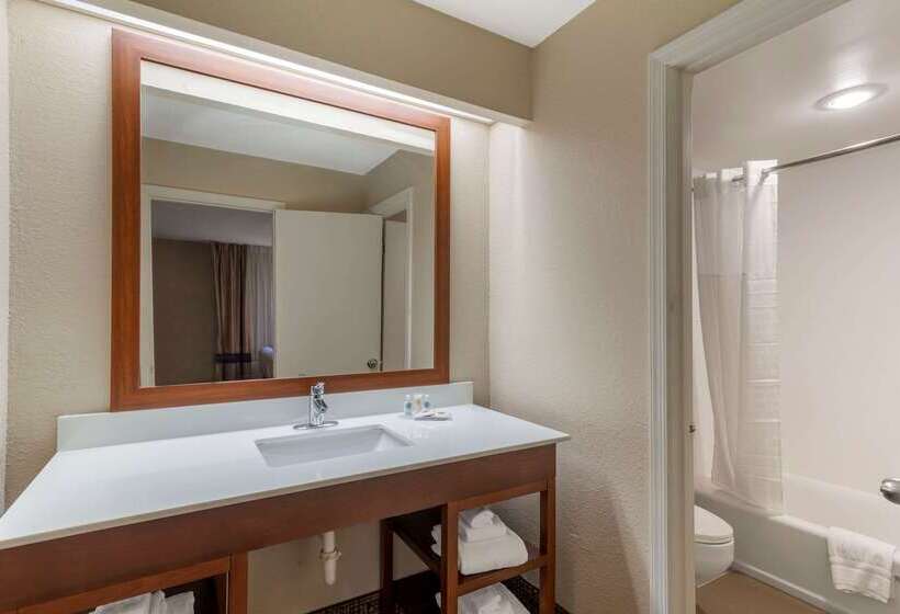 Отель Comfort Inn & Suites Near Robins Air Force Base Main Gate