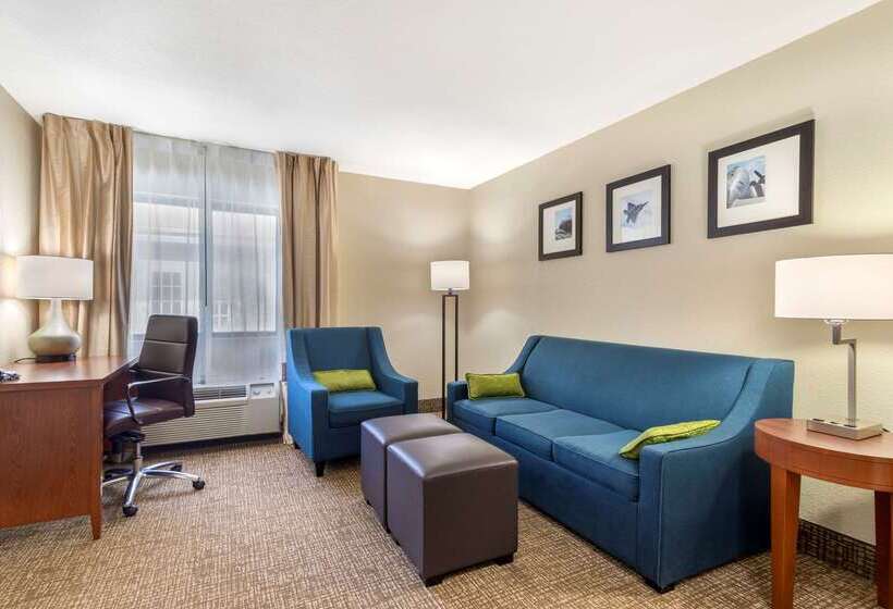 هتل Comfort Inn & Suites  Near Robins Air Force Base Main Gate