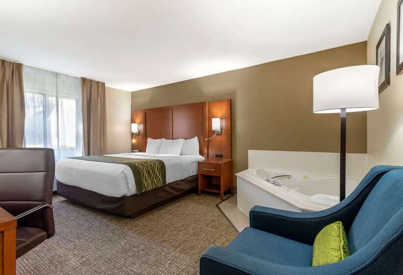 Отель Comfort Inn & Suites Near Robins Air Force Base Main Gate