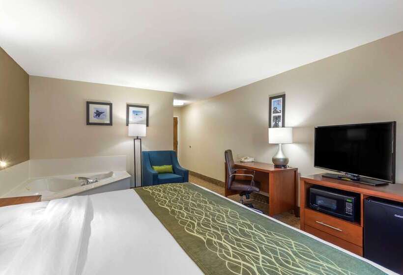 Отель Comfort Inn & Suites Near Robins Air Force Base Main Gate