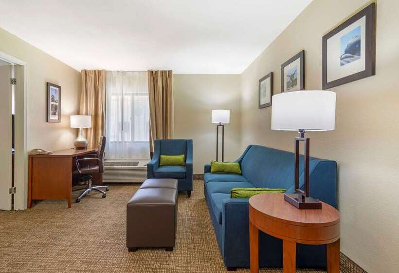 هتل Comfort Inn & Suites  Near Robins Air Force Base Main Gate