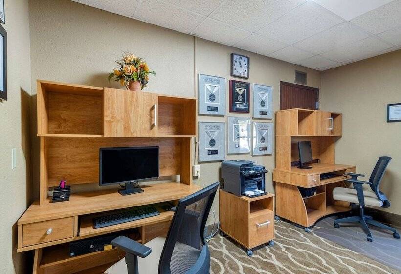 هتل Comfort Inn & Suites  Near Robins Air Force Base Main Gate