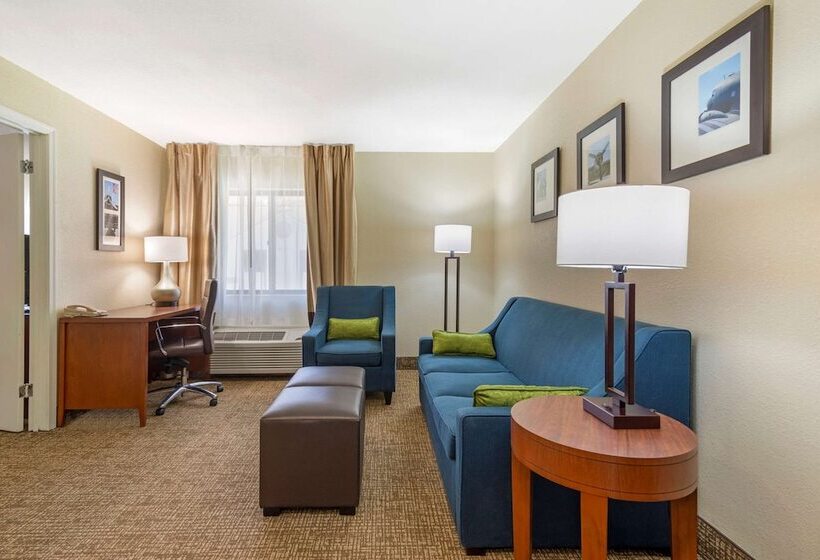 هتل Comfort Inn & Suites  Near Robins Air Force Base Main Gate