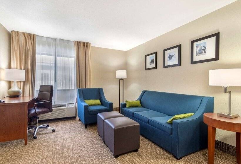 Отель Comfort Inn & Suites Near Robins Air Force Base Main Gate