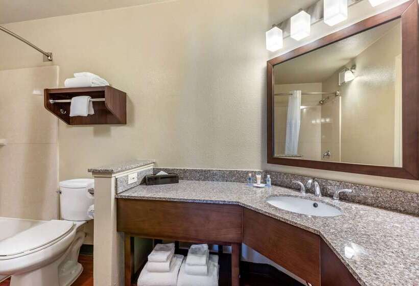 فندق Comfort Inn & Suites Orange County John Wayne Airport