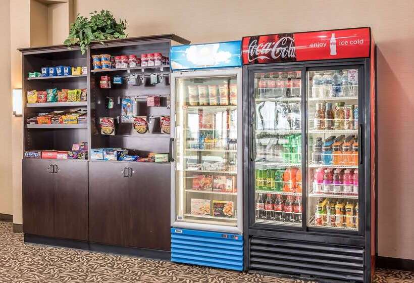 בית מלון כפרי Comfort Inn & Suites Piquanear Troyi75