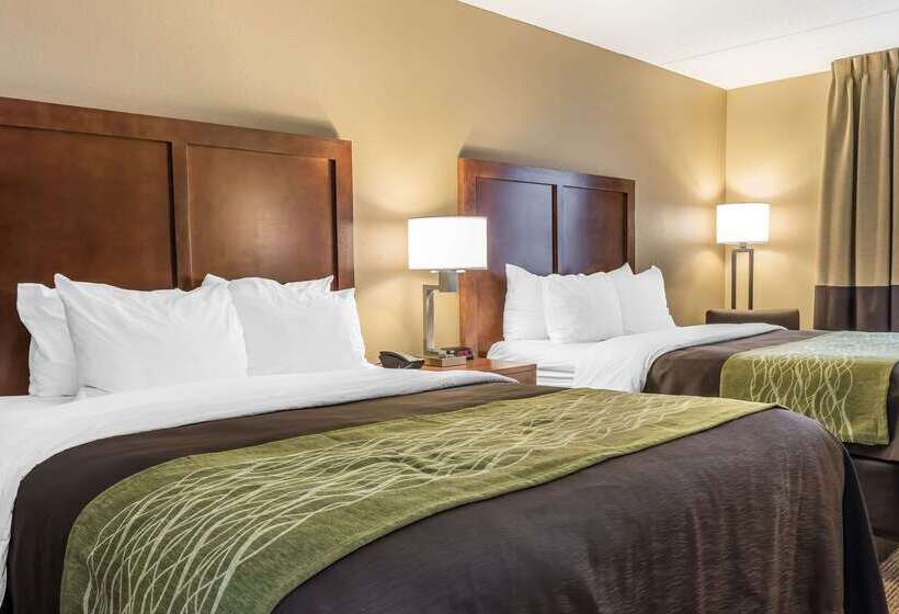 בית מלון כפרי Comfort Inn & Suites Piquanear Troyi75