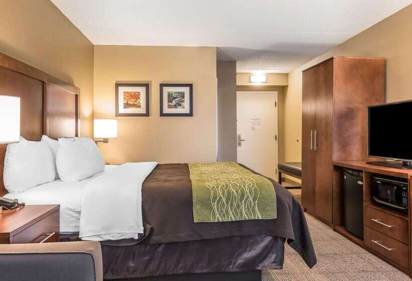 בית מלון כפרי Comfort Inn & Suites Piquanear Troyi75