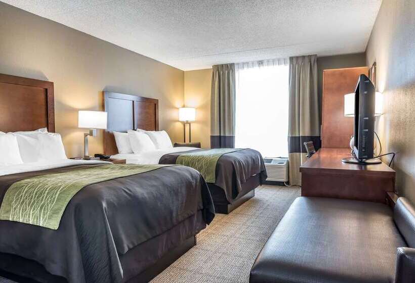 בית מלון כפרי Comfort Inn & Suites Piquanear Troyi75