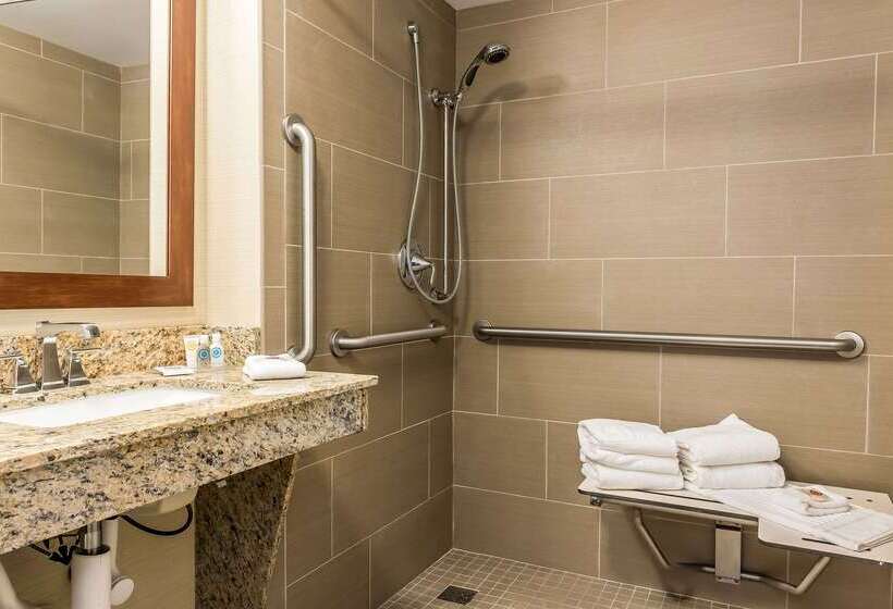 בית מלון כפרי Comfort Inn & Suites Piquanear Troyi75