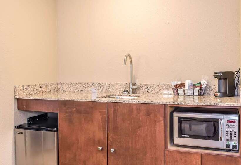 בית מלון כפרי Comfort Inn & Suites Piquanear Troyi75