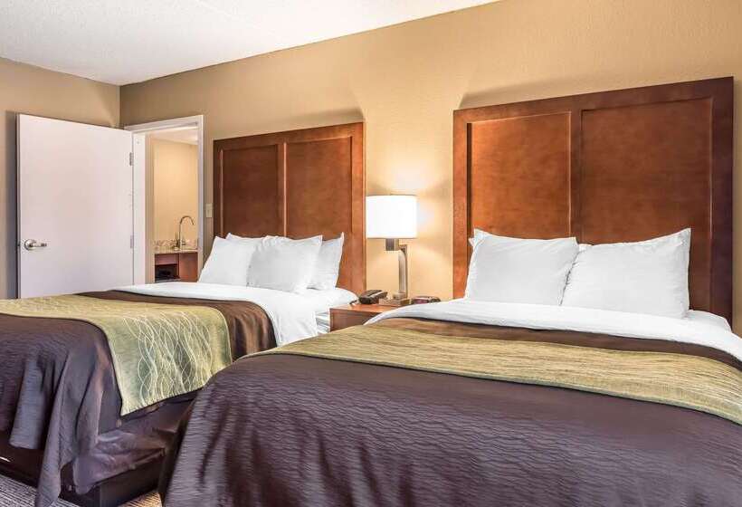 בית מלון כפרי Comfort Inn & Suites Piquanear Troyi75